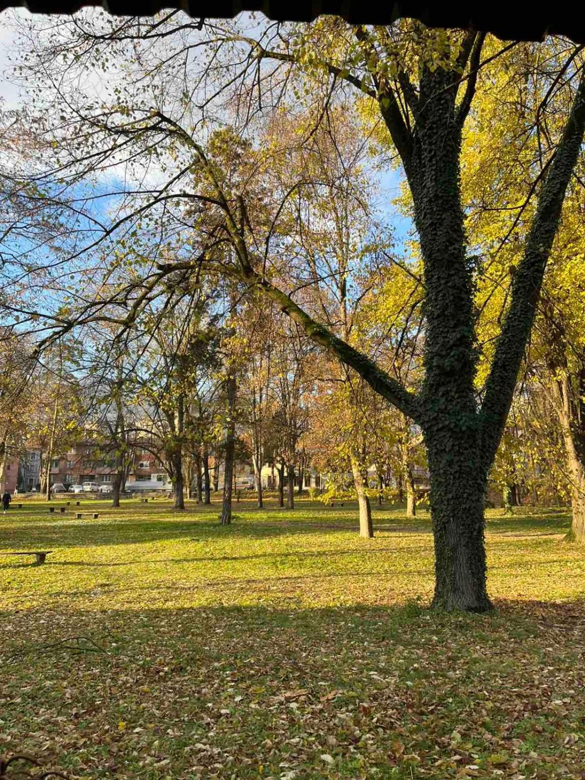 Park Apartment Фоча Екстериор снимка